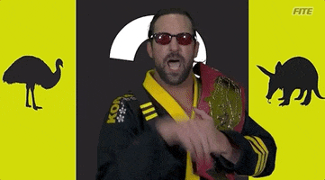 Pro Wrestling What GIF by United Wrestling Network