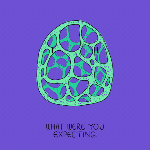 Mushroom Wtf GIF