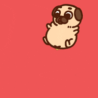 Dog Puppy GIF by Puglie Pug