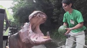 Power Satisfying GIF - Find & Share on GIPHY