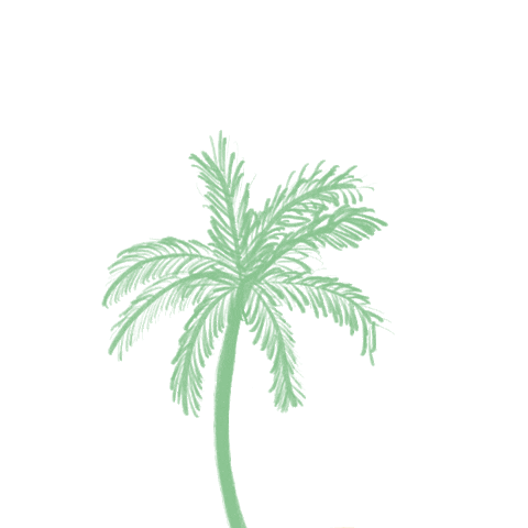 Palm Tree Sticker by SPELL
