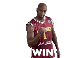 Limoges CSP Sticker