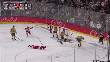 Nhl Carolina GIF