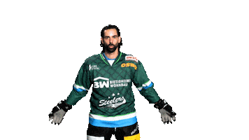 Bietigheim Steelers Sticker