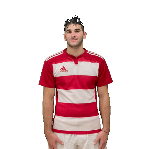 Try Meta Sticker by RIMINI RUGBY