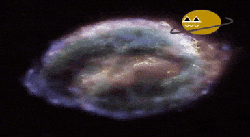 Follow Me Please GIF