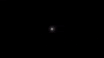 Seriously GIF