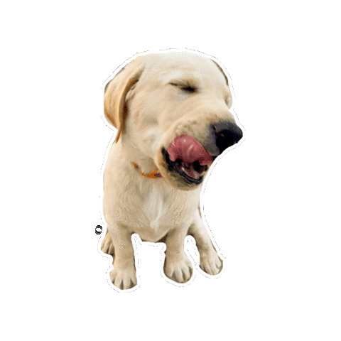 Buzz Sticker