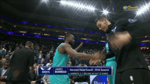 charlotte hornets dancing GIF by NBA