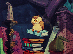 books library GIF