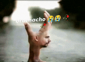 Son Brochacho GIF