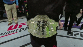 Mighty Mouse Mma GIF by UFC