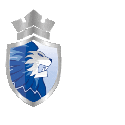 Lionsdordrecht Sticker by @dordrechtlions