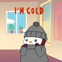Shaking Ice Cold GIF by Pudgy Penguins