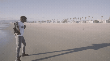 yyzcorp GIF