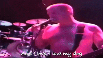 I Love My Dog GIF by Sublime