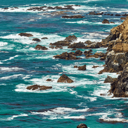 Vajira Samaratne GIF