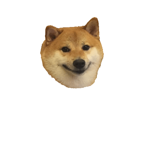 Dog Yes Sticker
