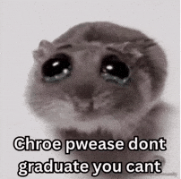 Graduation GIF