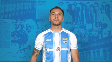 Celebration Cfc GIF by ChemnitzerFC