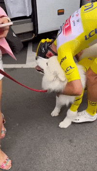 Funny-walk GIFs - Get the best GIF on GIPHY