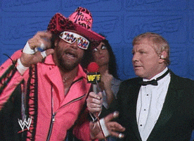 Macho Man Deal With It GIF