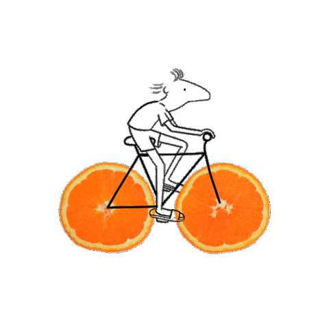 Pale Ale Summer Sticker