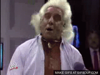 Image result for ric flair gif
