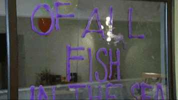 Laguna Beach GIF by Paramount+