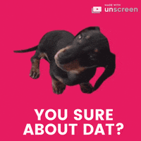 Happy Sausage Dog GIF by Unscreen