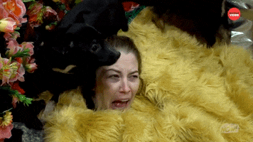 Eyes Wide Shut Puppies GIF by BuzzFeed