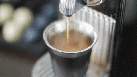 Coffee Shop GIF - Find & Share on GIPHY