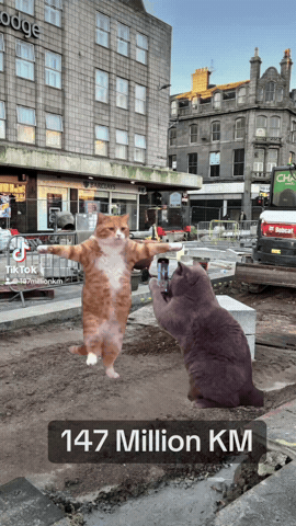 Dance Work GIF