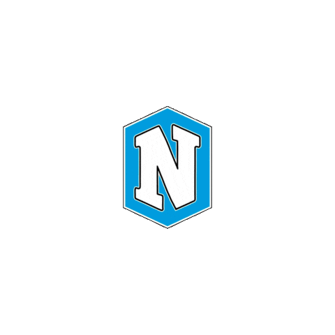 Handball Sticker by Nacional Handebol