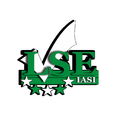 Liga Studenților Economiști Iași Sticker