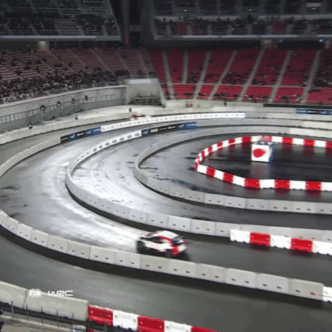 Bad Luck Wtf GIF by FIA World Rally Championship