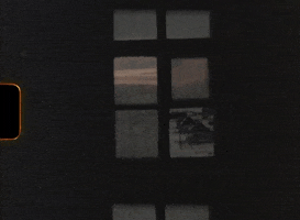 Super8 GIF by tomafotograaf