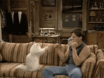 giphy.gif?cid=4d1e4f2907176f9c8debd10ea2972c121d2e8b1f59c2ae90&rid=giphy.gif