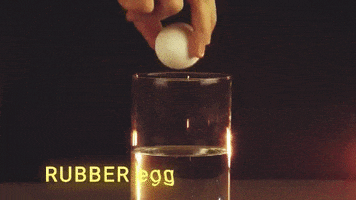 egg GIF by Diply