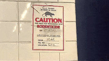200.gif?cid=fc005b08b6f6300921191c0b7f7cfda231d2d22d58dd3dfc&rid=200.gif&ct=g