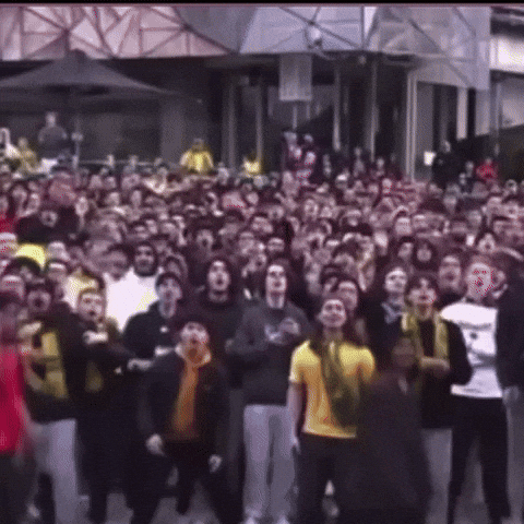 Fifa World Cup GIF