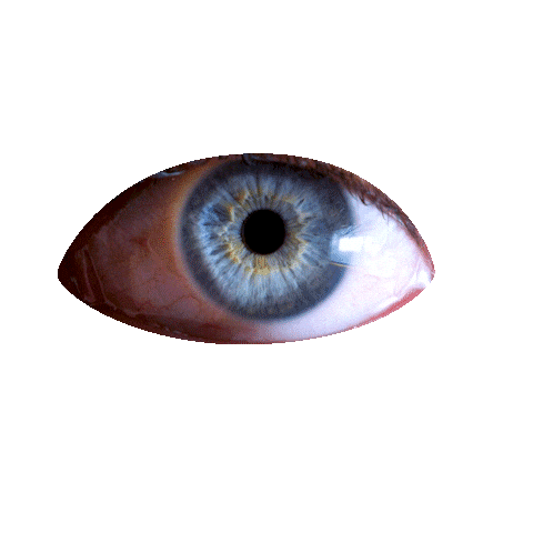 Eye Sticker