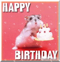 Happy Birthday Funny GIFs - Find & Share on GIPHY
