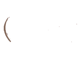 Dejavu Sticker by Lunica