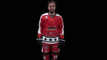 DiablesRougesValenciennes celebration hockey celly diables rouges GIF