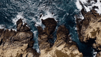 Ocean Waves GIF by Monterey Bay Aquarium