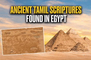 Egypt Tamil GIF