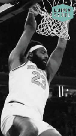 New York Basketball GIF by Lucky Rebel