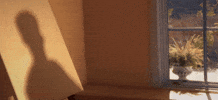 GIF by Or Barak