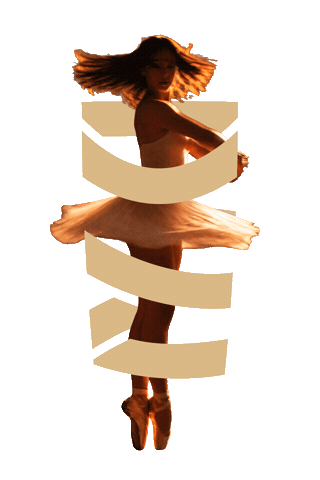Sticker by DanceWear